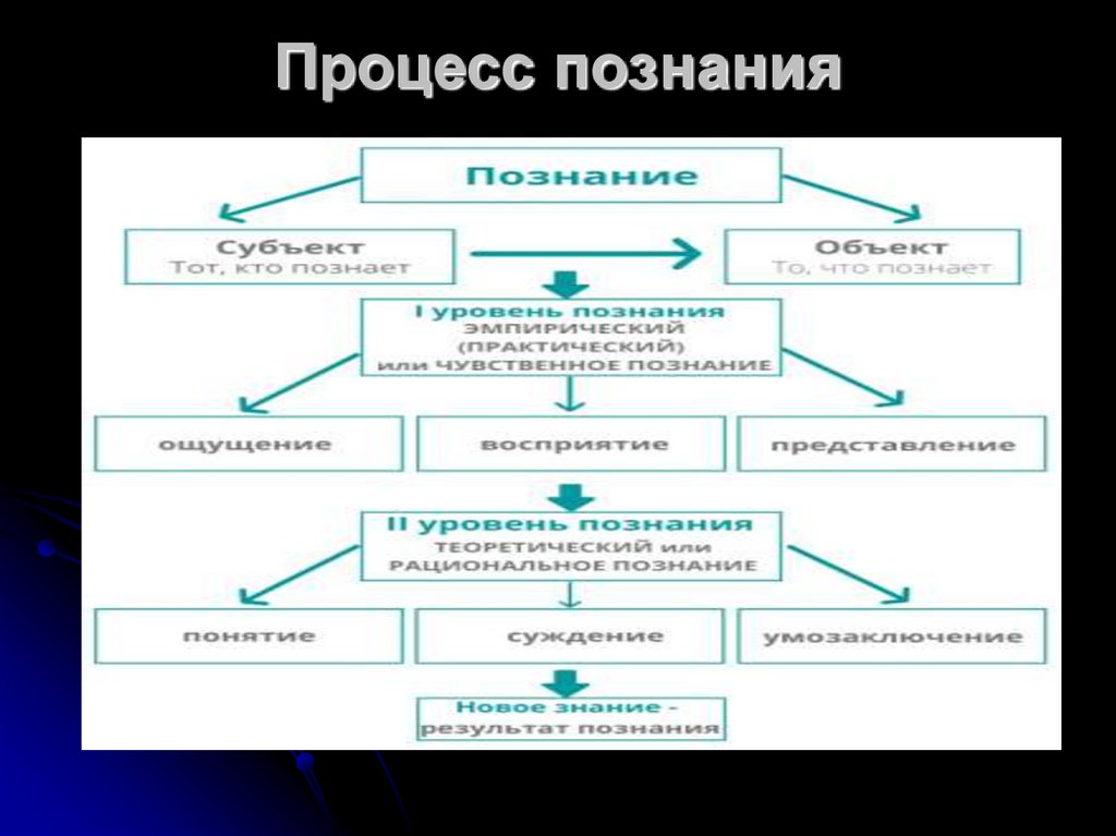 Учебная форма познания