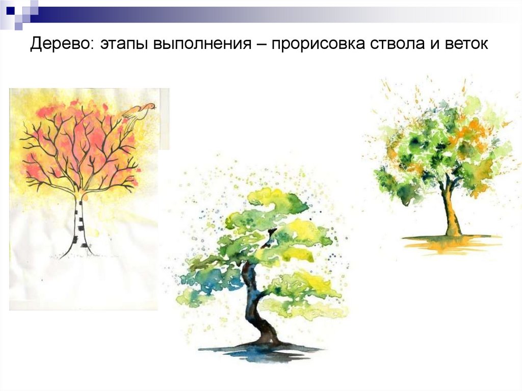 Дерево: этапы выполнения – прорисовка ствола и веток