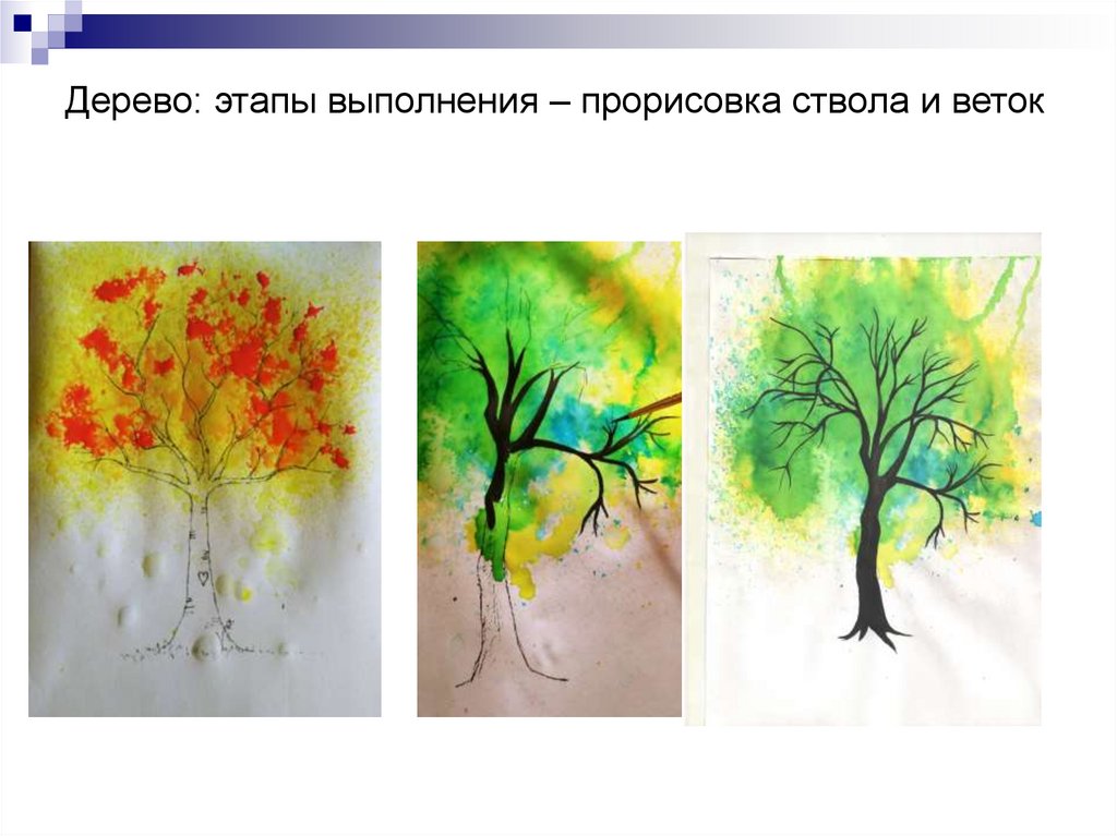 Дерево: этапы выполнения – прорисовка ствола и веток