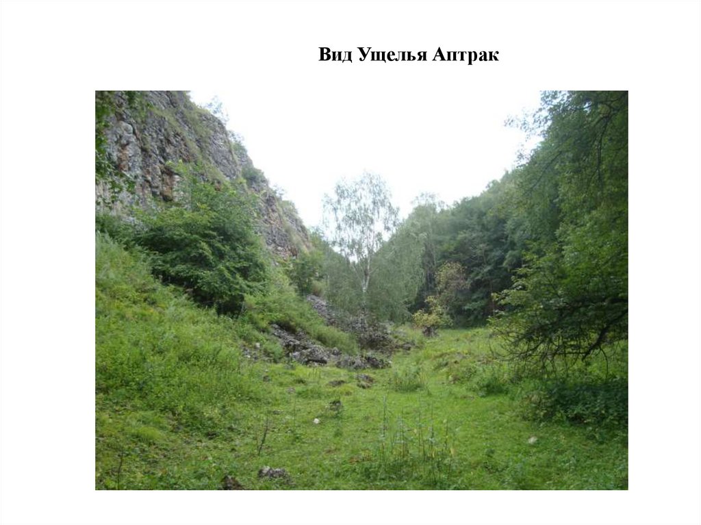 Вид Ущелья Аптрак