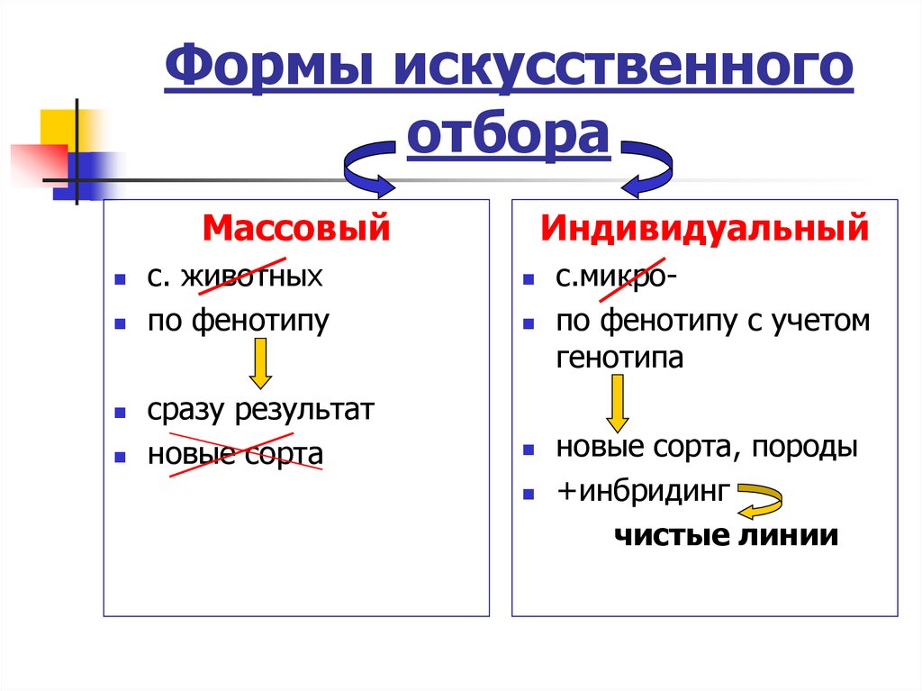 Формы искусственного отбора