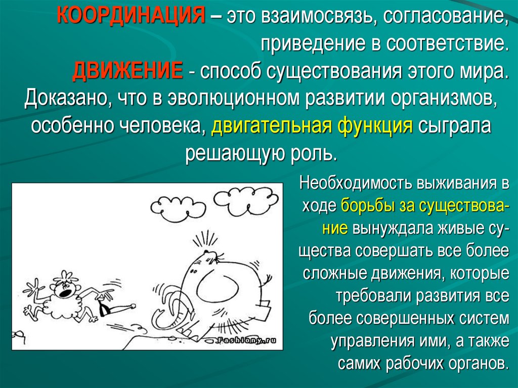 В соответствии с движениями. Координация. Координированные движения. Координация движений. Хорошая координация.