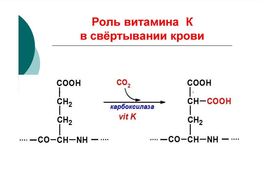 Роль витамина р