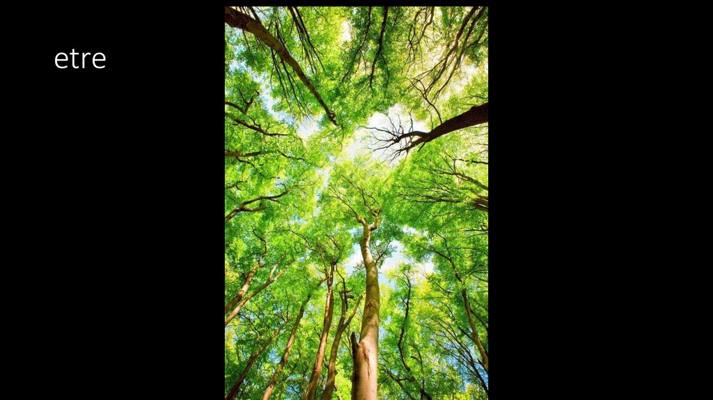 etre