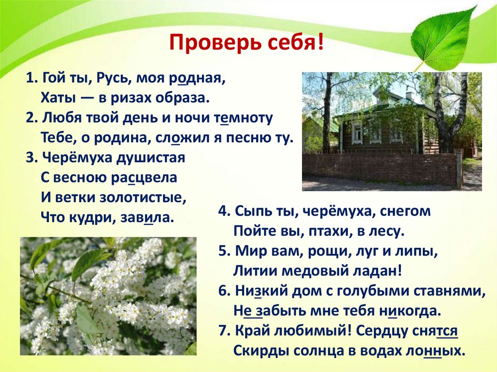 Проверь себя!