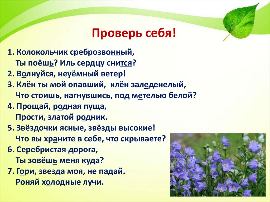 Проверь себя!