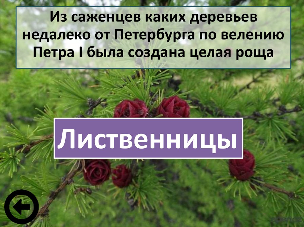 Сохраним богатство живого мира 5 класс биология презентация