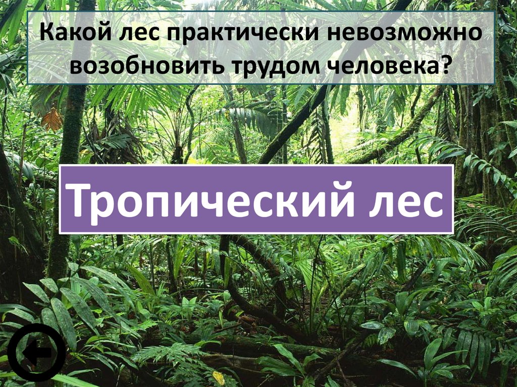 Сохраним богатство живого мира 5 класс биология презентация