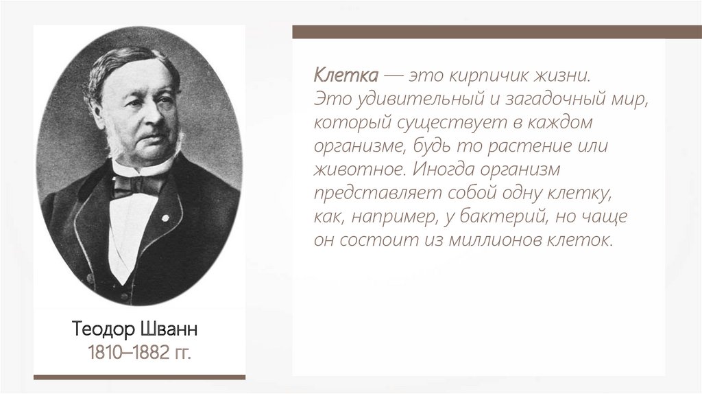 Немецкий физиолог. 1839 Шванн.
