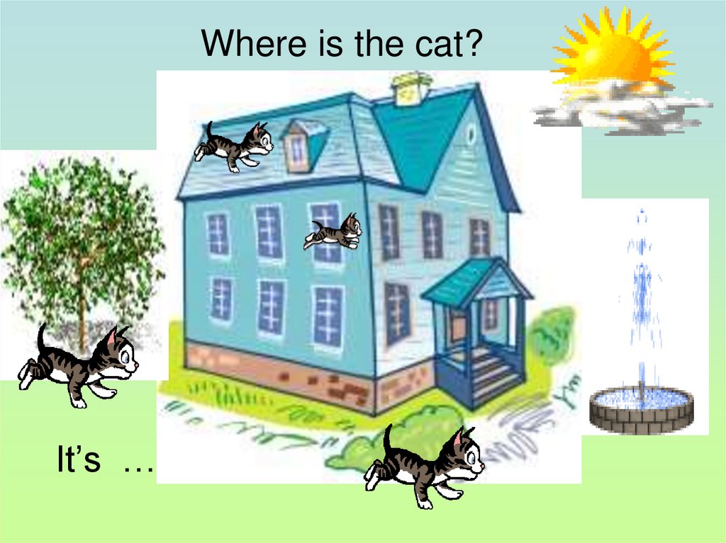 Where cat. Where is the Cat. Where is. Where is the Cat? Большие картинки. Where is a Cat in the House.