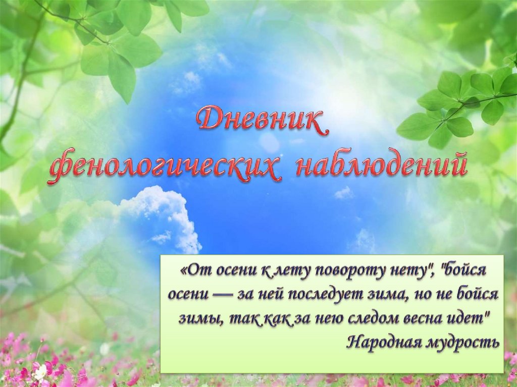 Фенологический дневник 5 класс. Дневник фенологических наблюдений. Фенологический дневник для дошкольников. Дневник фенологических наблюдений обложка. Фенологические наблюдения школьниками.