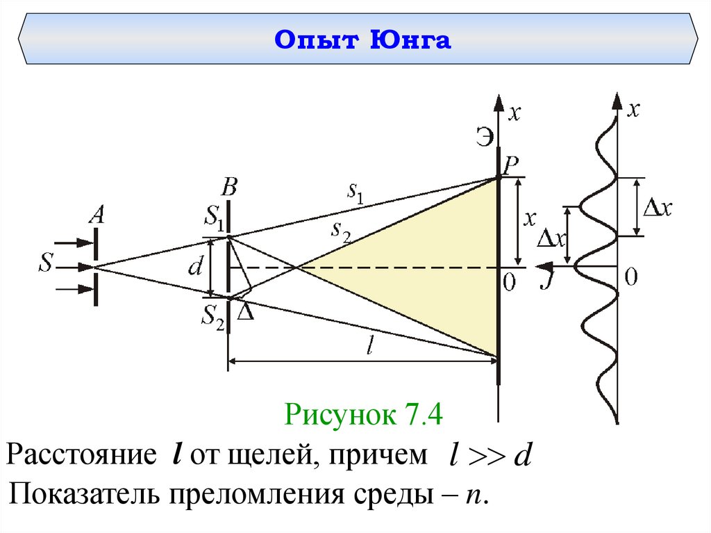 Опыт юнга рисунок