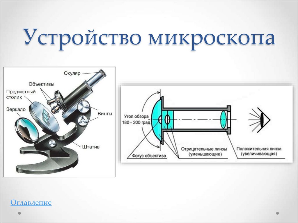 Строение микроскопа линзы