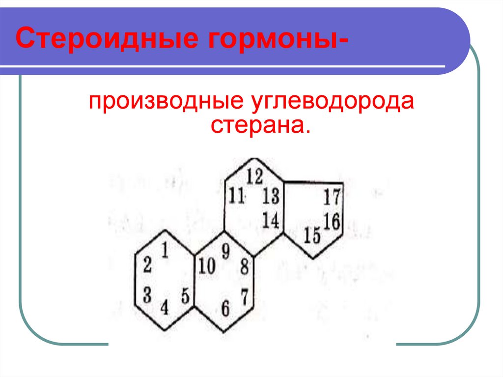 Стероидные гормоны. Стероидные гормоны производные. Стероидные гормоны являются производными. Гормоны- производные стероидов. Гормоны производные стерана.