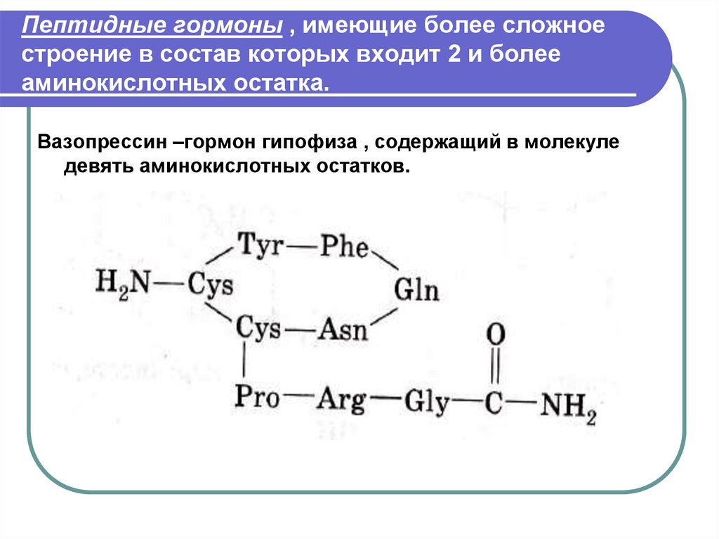 Пептидные гормоны