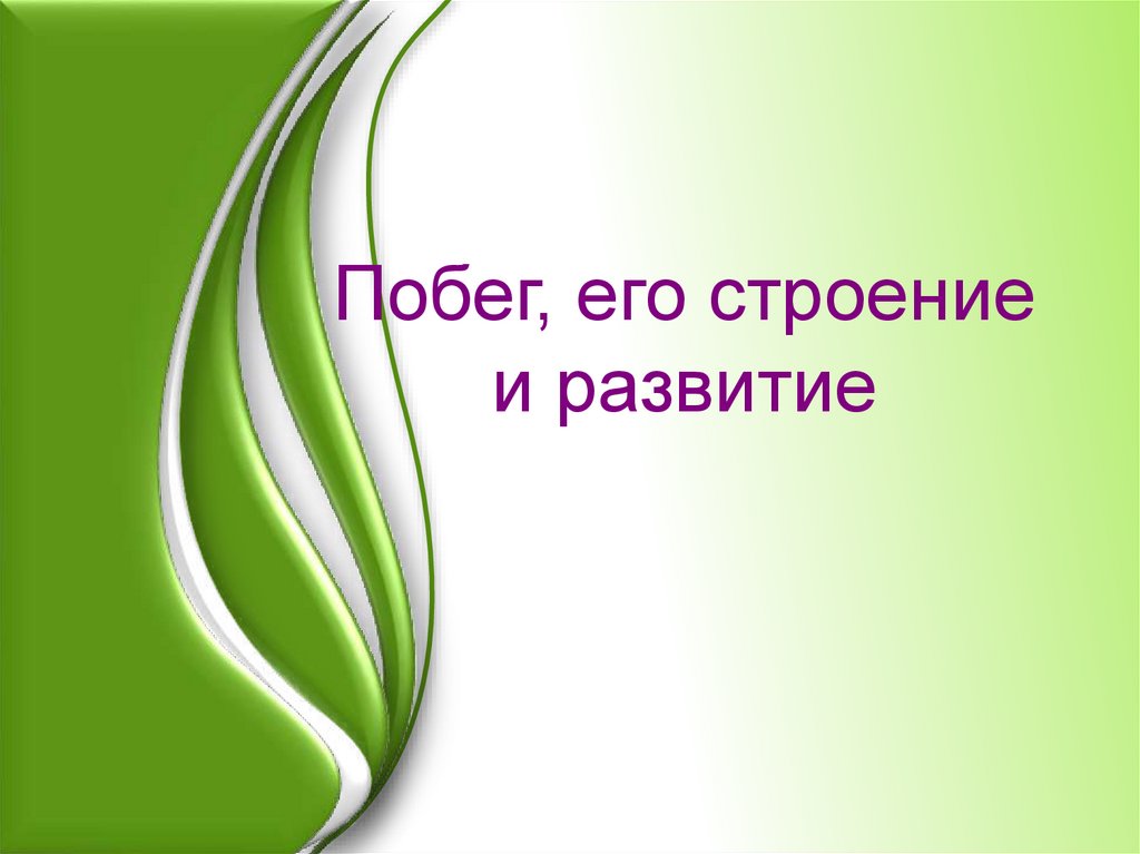 Побег его строение и развитие. Презентация побег. Побег 6 класс. Побег биология презентация.