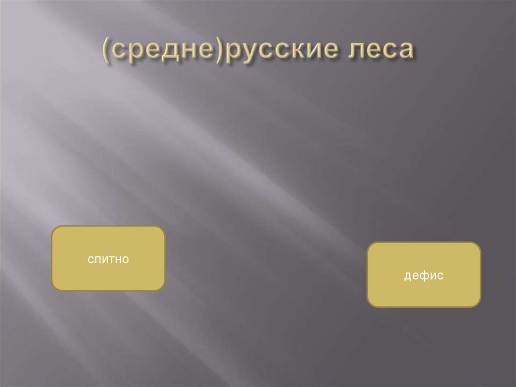 (средне)русские леса