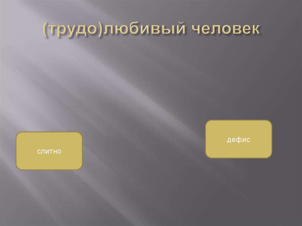 (трудо)любивый человек