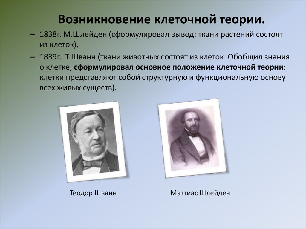 Клеточная теория развитие знаний о клетке. Клеточная теория 1838-1839. Возникновение клеточной теории. Шлейден и Шванн клеточная теория. Теории возникновения клетки.