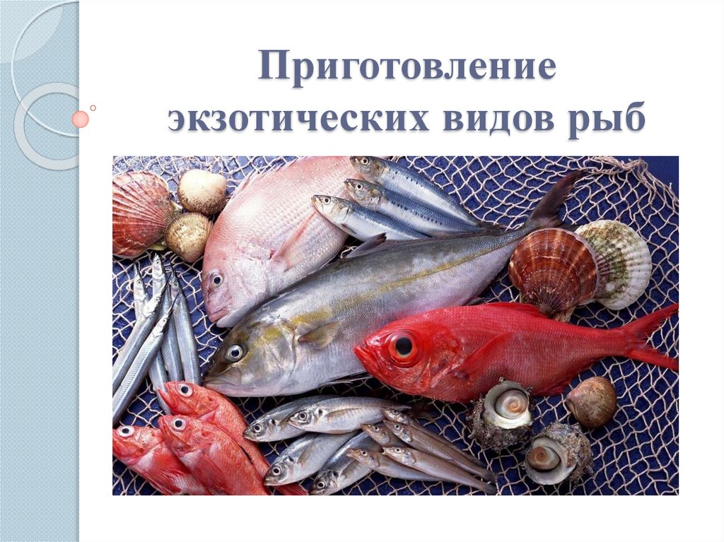 Приготовление экзотических видов рыб