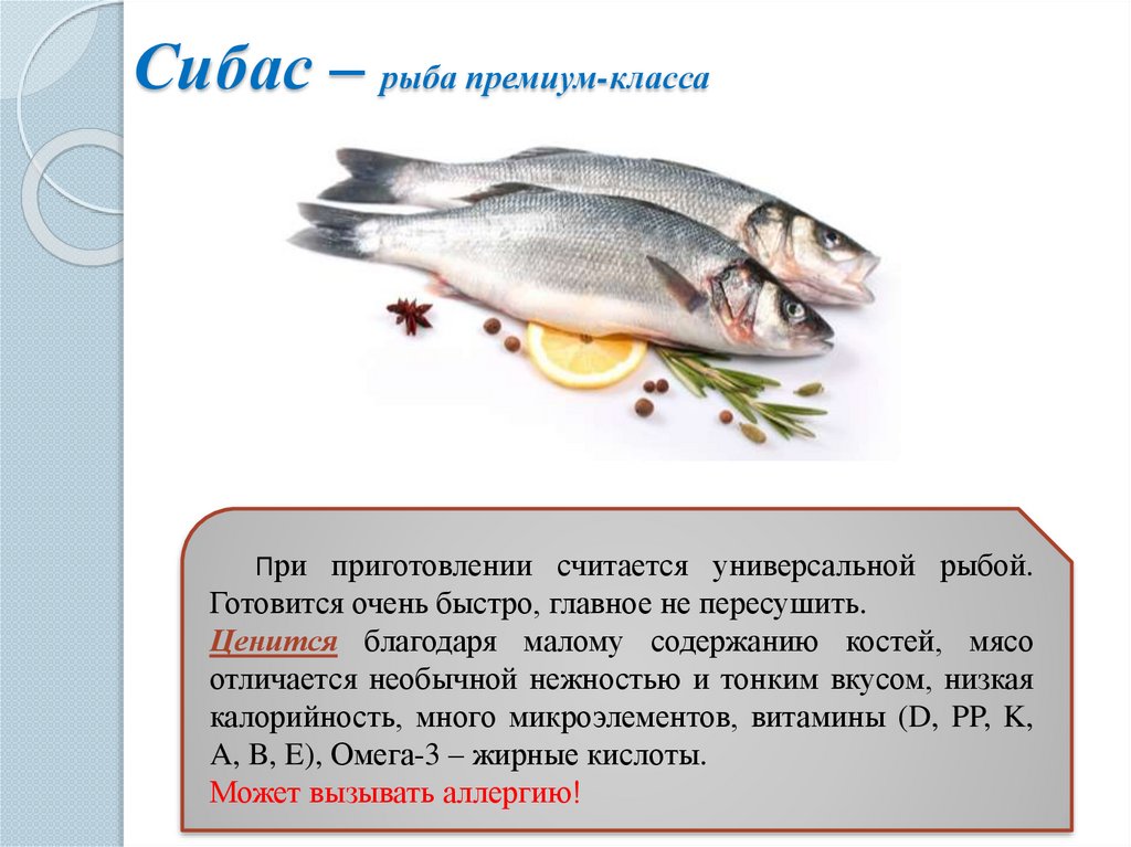 Сибас – рыба премиум-класса