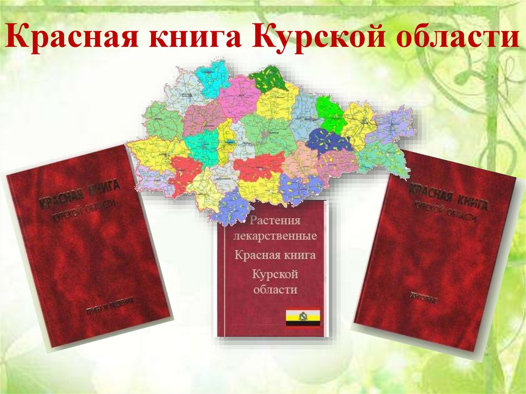 Курская красная книга