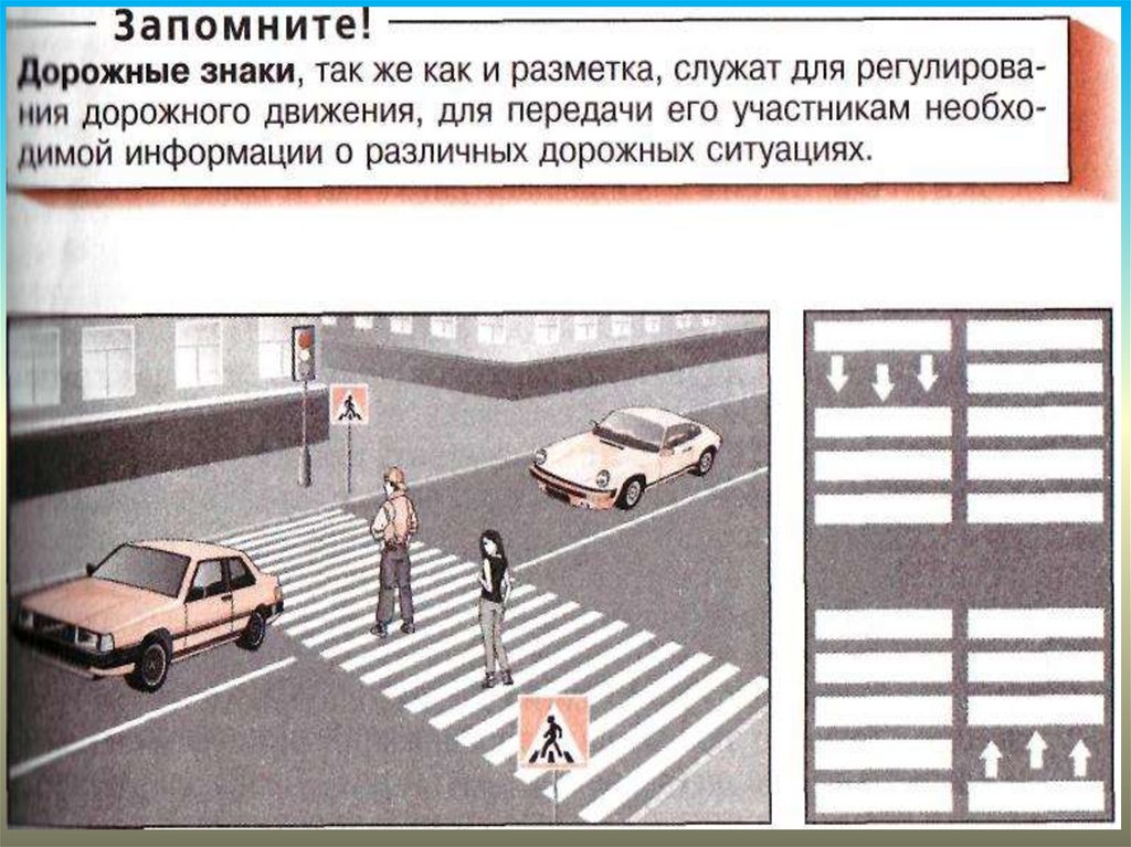 Правило пешеходов обж