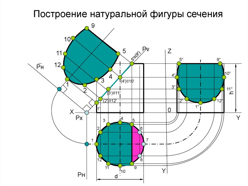 Величина сечения