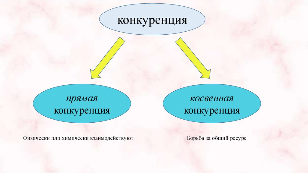 Конкуренция прямая и косвенная