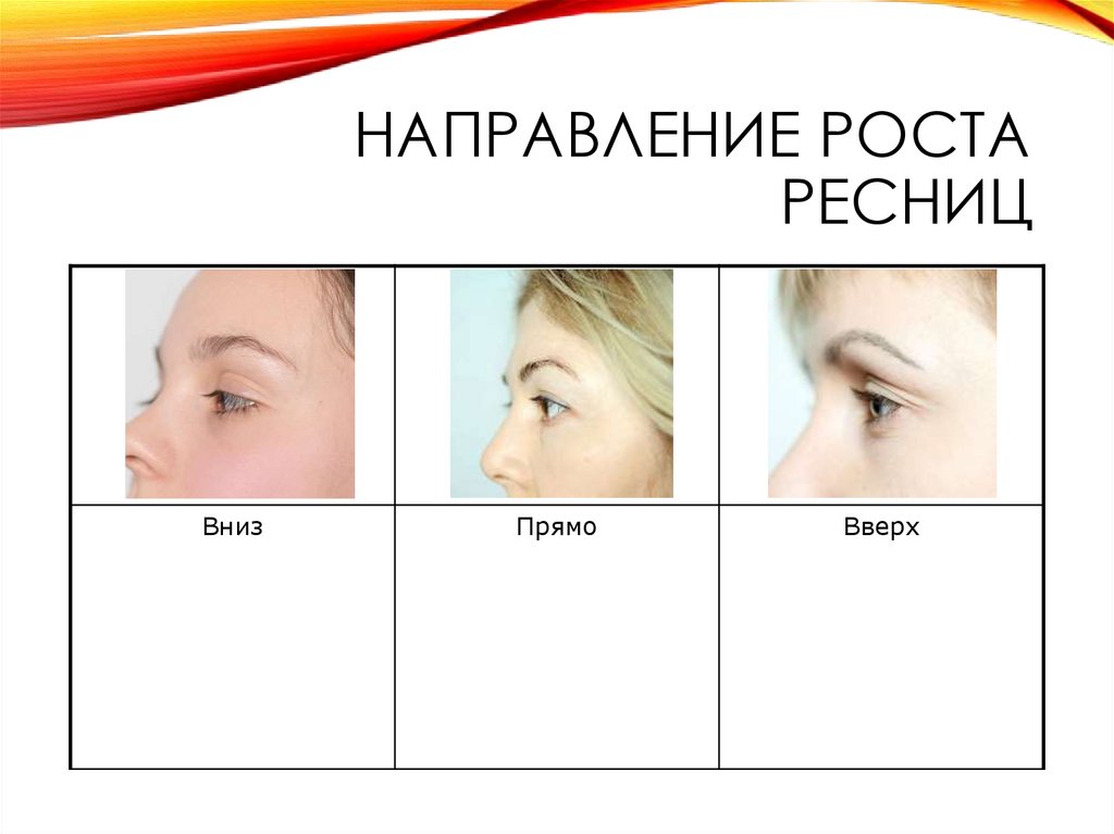 Направление роста ресниц