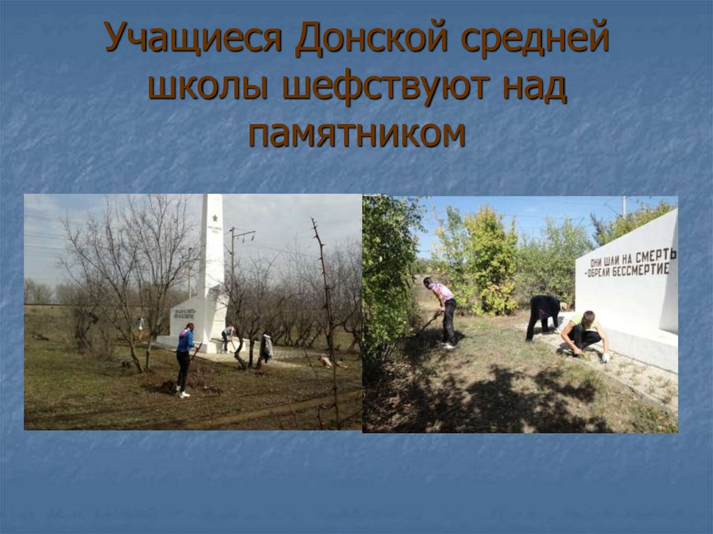Учащиеся Донской средней школы шефствуют над памятником