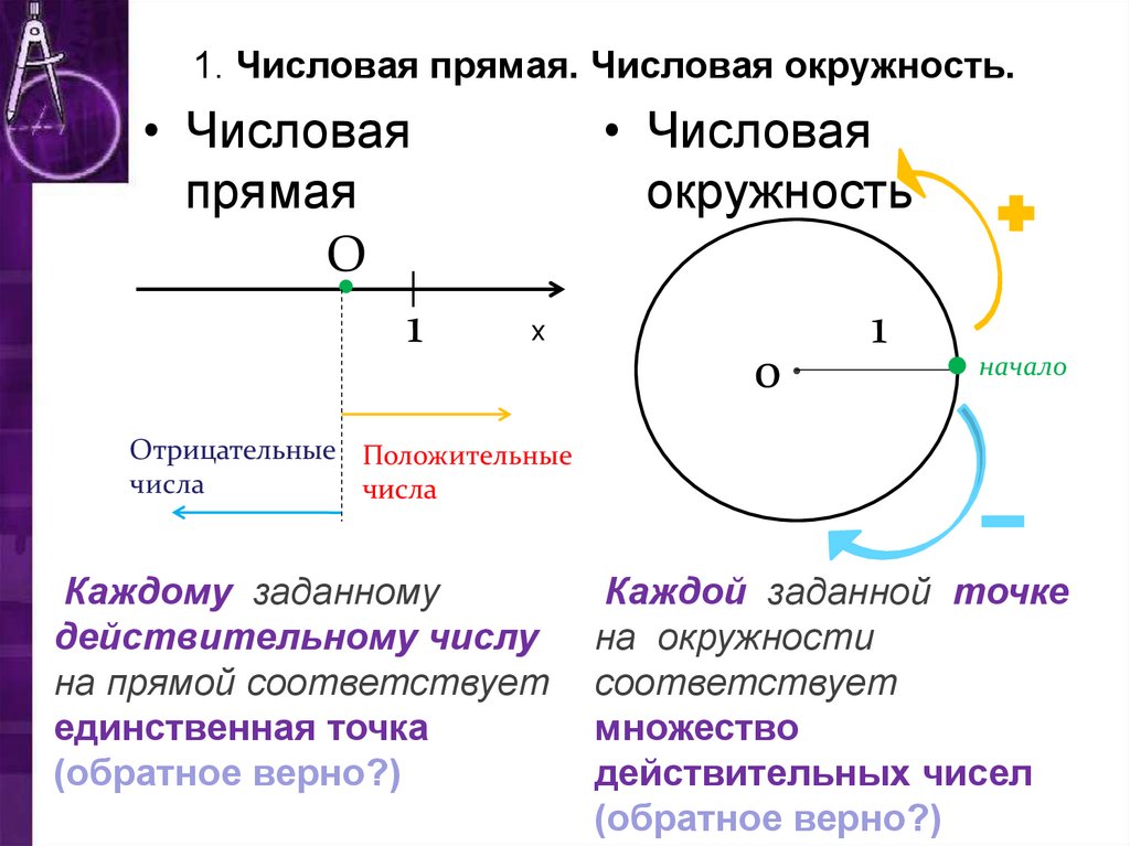 Единственная точка. Цифровая окружность отрицательная. Вся числовая прямая. Отрицательные числа на числовой окружности. Числовая прямая и числовая окружность.