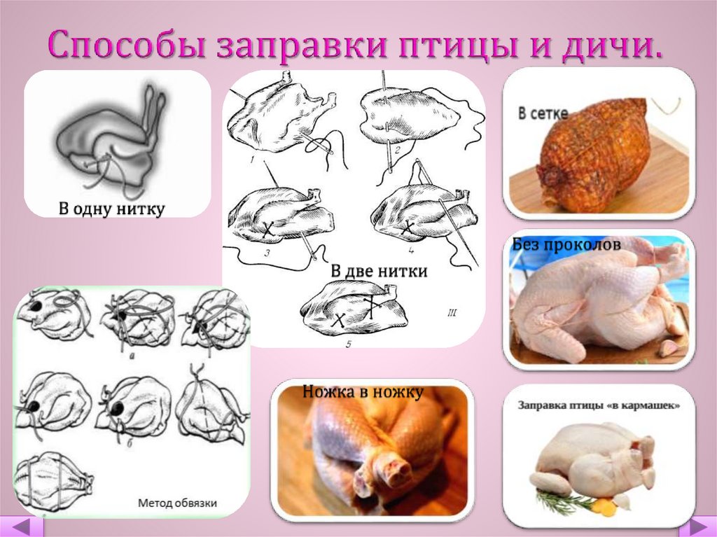 Схема заправки птицы