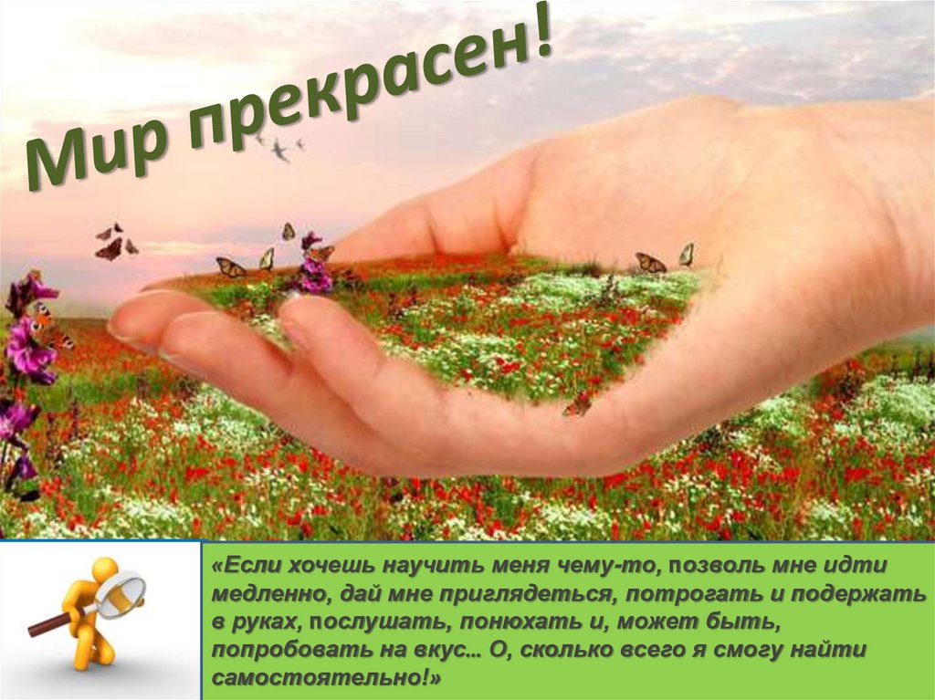 Мир прекрасен!