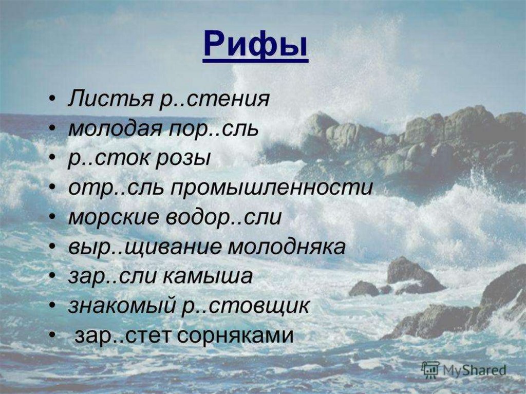 Стения. Лист риф. ОТР..сль. Р..Сток, зар..сли, пор..сль. Пор..сль.