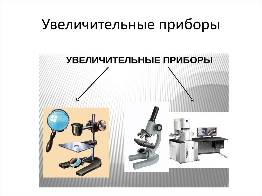 Презентация 5 класс микроскоп