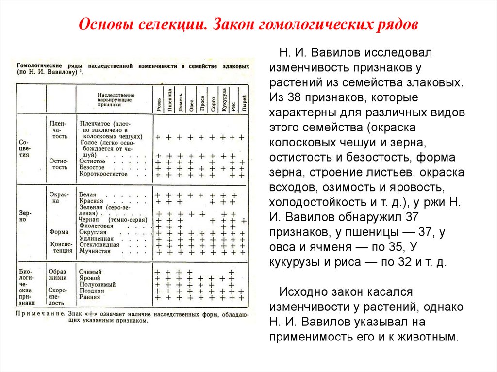 Закон вавилова о гомологических рядах наследственной изменчивости презентация