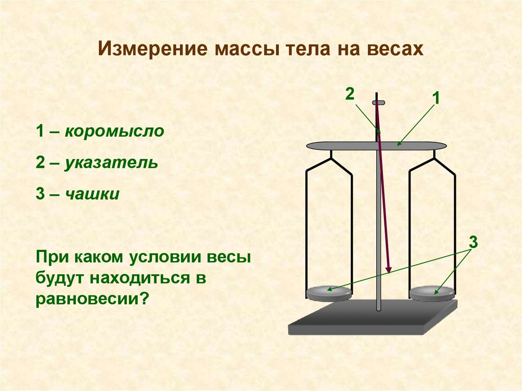 Измерение массы на рычажных весах. Измерение массы тела на весах. Измерение массы тела в динамике. Измерение физических тел. Масса и измерение массы тел 6 класс.