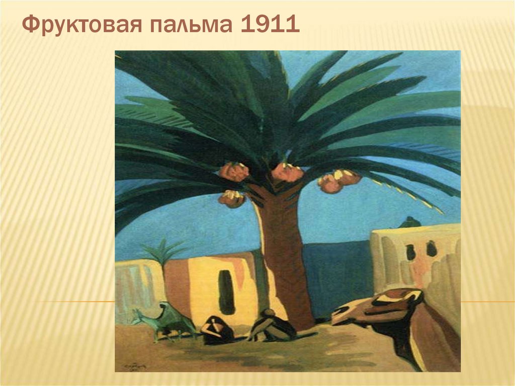 Фруктовая пальма 1911