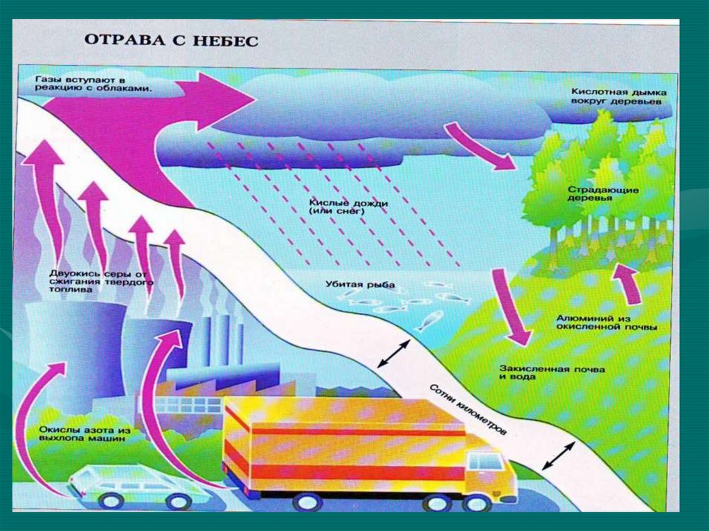 Презентация на тему как человек изменял природу 5 класс биология