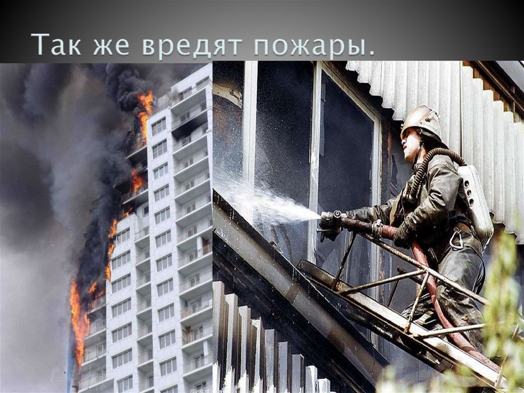 Так же вредят пожары.