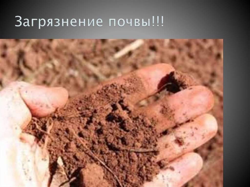 Загрязнение почвы!!!