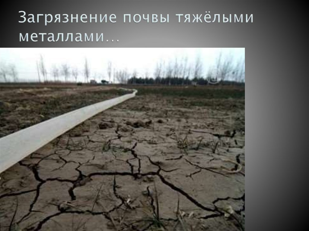 Загрязнение почвы тяжёлыми металлами…
