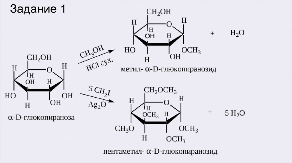 Фруктоза вступает в гидролиз. Этил-Альфа-d-глюкопиранозид. Метил Альфа д глюкопиранозид. Реакция образования метил-Альфа д глюкопиранозида. Метил Альфа д глюкопиранозид гидролиз.
