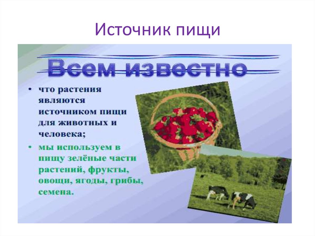 Основные источники растительного. Растения источник пищи для человека. Роль растений в жизни человека. Роль растений в природе.