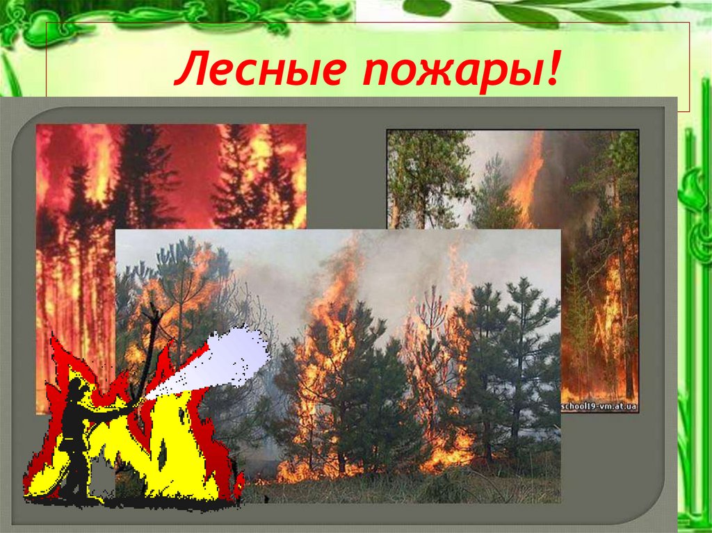 Лесные пожары 2 класс. Пожарная безопасность в лесу. Презентация на тему пожарная безопасность в лесу. Пожарная безопасность в лесу для детей. Тема пожар в лесу.
