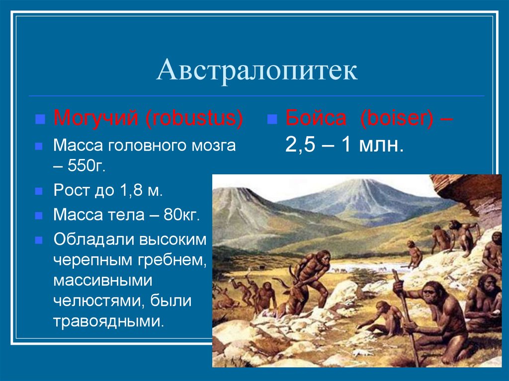 Австралопитеки презентация по биологии