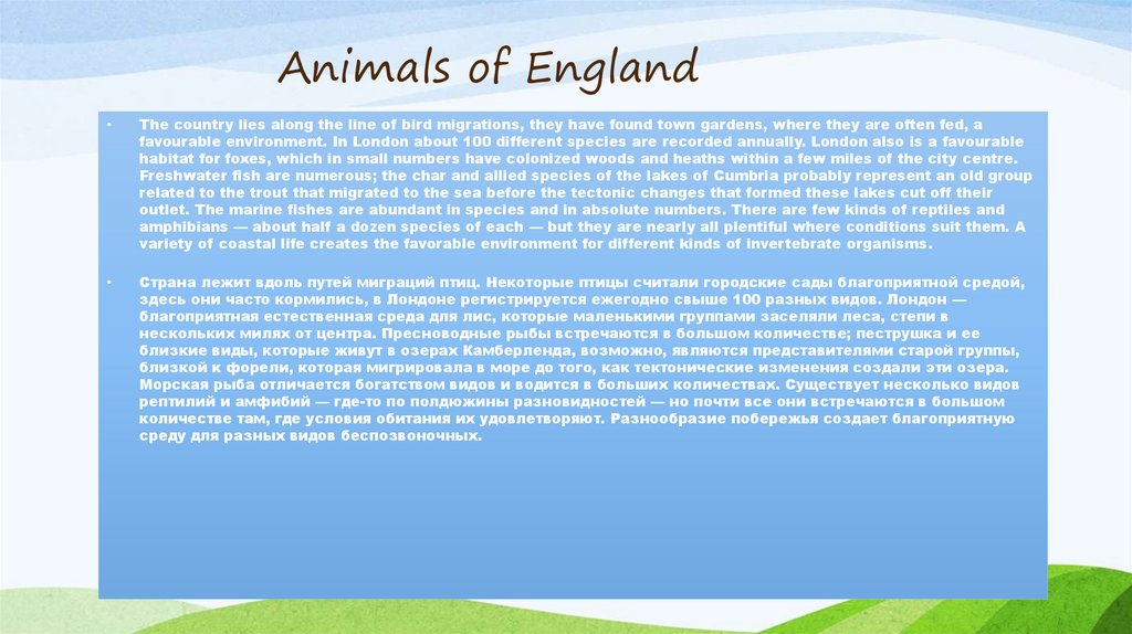 Animals of England