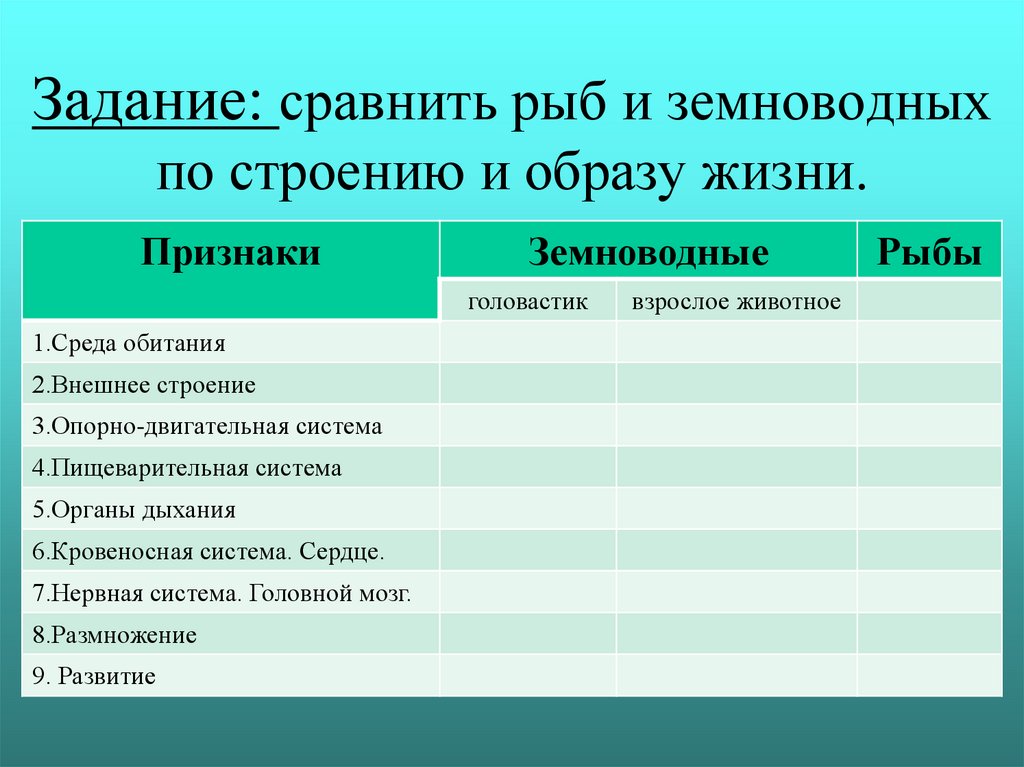 Сравнения рыб