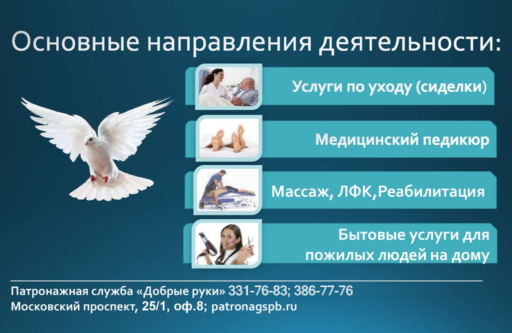 Основные направления деятельности: